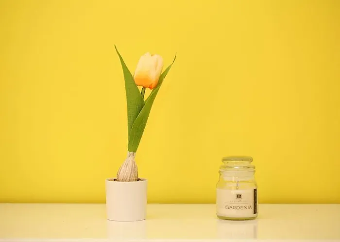 Brother's * Sorrento